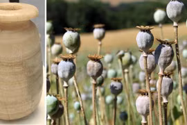 Chiếc bình thạch cao bí ẩn ở Ai Cập chứa bằng chứng rợn người