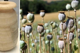 Chiếc bình thạch cao bí ẩn ở Ai Cập chứa bằng chứng rợn người