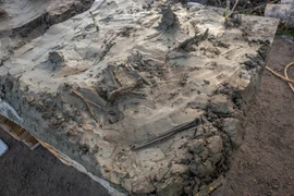 Sốc nặng phát hiện hài cốt chó cùng dao găm bằng xương thời Đồ Đá 