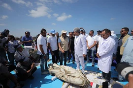 Khám phá tàn tích thành phố chìm 2.000 năm tuổi ngoài khơi Ai Cập