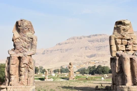 Tìm thấy 66 bức tượng nữ thần đầu sư tử Sekhmet, hé lộ nghi lễ thiêng