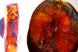 Soi viên đá quý La Mã 1.700 năm tuổi, lộ bí ẩn động Trời