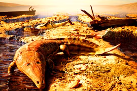 Giải mã hóa thạch lưỡng cư khổng lồ sống trước khủng long