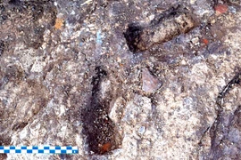 Dấu chân trẻ em trong hố vữa Ai Cập cổ đại gây chấn động