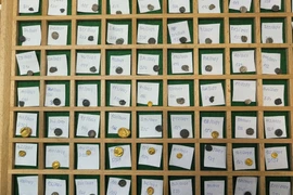 Kho báu 500 đồng tiền vàng bạc người Celt hé lộ bí ẩn lịch sử