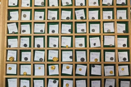 Kho báu 500 đồng tiền vàng bạc người Celt hé lộ bí ẩn lịch sử