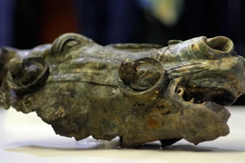 Khai quật đầu ngựa La Mã đồng 2.000 năm tuổi hiếm thấy tại Đức