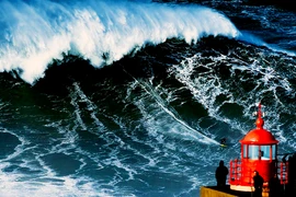 Kinh ngạc AI dự đoán chính xác "sóng sát thủ" trước 5 phút 