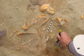 32 hài cốt khỉ trong nghĩa địa cổ, hé lộ bí mật khó tin