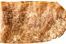 Soi bùa hộ mệnh thế kỷ thứ 10, lộ sự thật kỳ dị