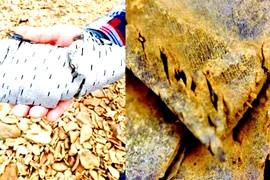 Băng tan bất ngờ lộ hiện vật 7.000 năm tuổi bí ẩn