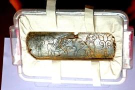 Soi vật thể ngà voi độc đáo 2.800 năm tuổi 