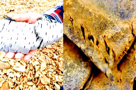 Băng tan bất ngờ lộ hiện vật 7.000 năm tuổi bí ẩn