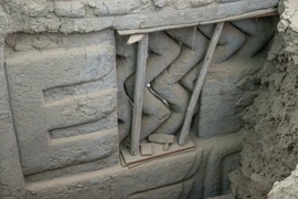 Bức tranh tường đá 3D 3.000 năm tuổi, hé lộ nền văn minh chưa từng biết