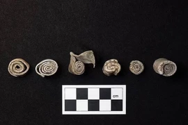 Biệt thự La Mã cổ chứa cuộn chì nguyền rủa rợn tóc gáy