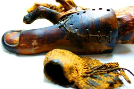 Tìm thấy ngón chân cái giả 3.000 năm, sững sờ sự thật