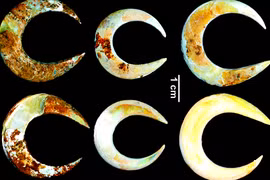 Hé lộ bí ẩn lưỡi câu cá 12.000 năm tuổi trong tang lễ cổ