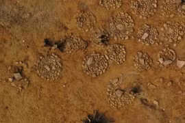 30 ngôi mộ đá cổ hình tròn lộ sự thật xót xa