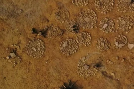 30 ngôi mộ đá cổ hình tròn lộ sự thật xót xa