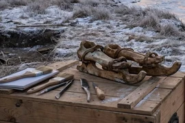 Tìm thấy giày trượt băng làm từ xương ngựa, chuyên gia ngạc nhiên tột độ