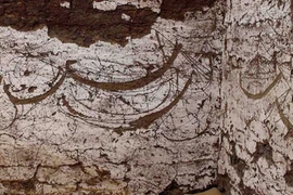 Đếm được 120 hình thuyền cổ trên tường 3.800 năm tuổi, chuyên gia bối rối