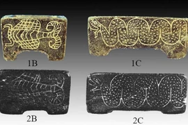 Kỳ lạ ngôi mộ thiếu nữ 18 tuổi với đồ tùy táng phong phú ở Iran