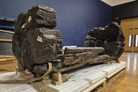 Phát hiện đặc biệt trong quan tài gỗ cổ thời Đồ Đồng