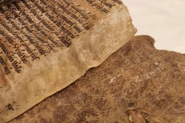 Tận mục bản thảo da hải cẩu kỳ quái 