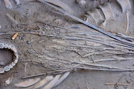 Phát hiện chấn động hài cốt 2.800 năm cùng cần sa cổ đại