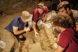 Ngôi mộ trẻ em 8.000 năm tuổi hé lộ nghi thức lạ