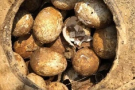 Kinh ngạc mộ cổ 2.500 năm chứa lọ trứng nguyên vẹn ở Trung Quốc