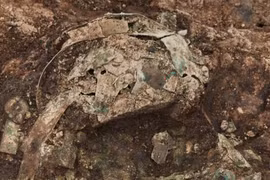 Lạ lùng vương miện nghìn năm tuổi trang trí bằng bọ cánh cứng 