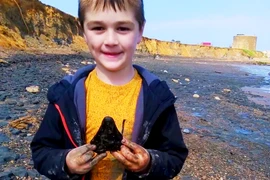 Tận thấy răng cá mập Megalodon khổng lồ do bé trai phát hiện