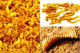 2.000 vòng xoắn vàng kỳ quái phát lộ, chuyên gia bối rối