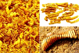 2.000 vòng xoắn vàng kỳ quái phát lộ, chuyên gia bối rối