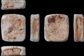 Chuyên gia phấn khích tìm thấy thỏi chì đặc biệt thời Đồ Đồng