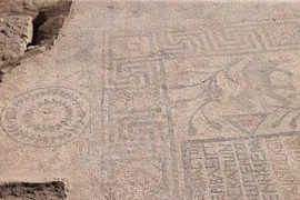 Sàn khảm họa tiết lạ thế kỷ thứ 5 khiến chuyên gia sửng sốt