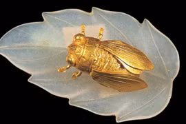 Mở mộ cổ, phát hiện báu vật ve sầu bằng vàng giá khủng