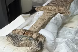 Tìm thấy thanh kiếm cổ độc lạ tại nghĩa trang người Anglo-Saxon 