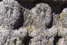 Bia đá bí ẩn từ Tây Ban Nha hé lộ nữ thần Celtic cổ đại