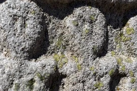 Bia đá bí ẩn từ Tây Ban Nha hé lộ nữ thần Celtic cổ đại