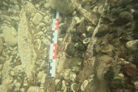 Phát hiện bộ sưu tập thỏi kim loại cực lớn 2.000 năm