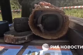 Ukraine ngụy trang vũ khí bí ẩn bên trong “thân cây”