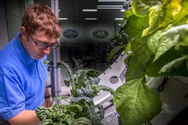 Trồng đậu gà thành công trên đất Mặt trăng mô phỏng