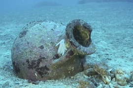 Tìm thấy 22 bình cổ Hy Lạp dưới đáy biển Albania