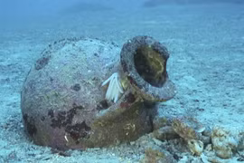 Tìm thấy 22 bình cổ Hy Lạp dưới đáy biển Albania