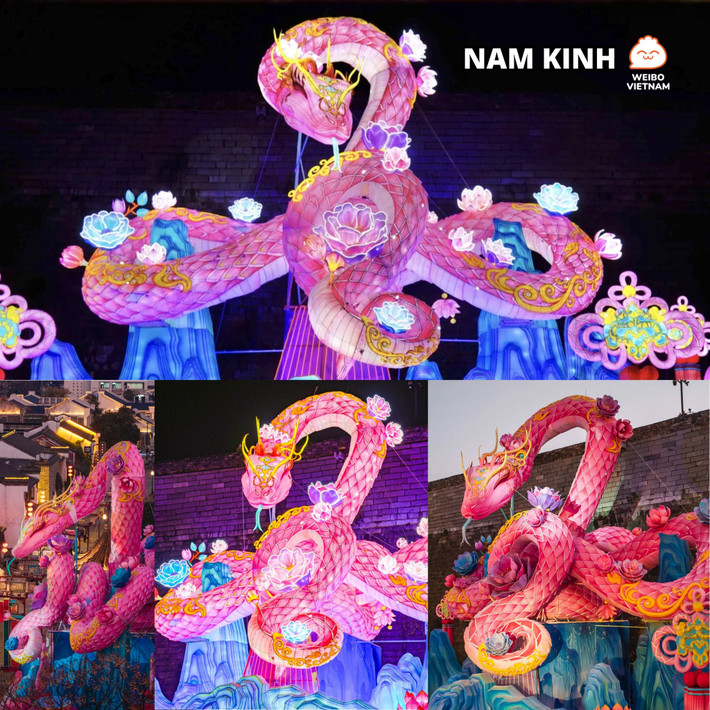 Trong năm Ất Tỵ, hình ảnh con Rắn là biểu tượng của sự thông minh, khéo léo và kiên trì. Theo quan niệm văn hóa phương Đông, Rắn còn mang ý nghĩa của sự tái sinh và đổi mới.