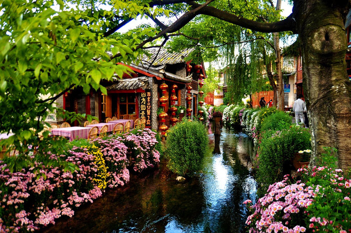 Lệ Giang (Vân Nam): Những tòa nhà gỗ treo đèn lồng đỏ, các nghệ sĩ biểu diễn bản nhạc xa xưa trên đường phố cổ kính... khiến du khách có cảm giác như đi lạc vào một bộ phim cổ trang. Tại đây, bạn có thể tận hưởng một khoảng thời gian thư thái, yên bình. Ảnh: Backpackingpanda.
