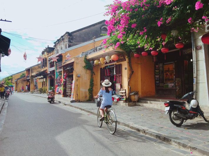 Đến với Hội An bất kỳ thời điểm nào, du khách cũng sẽ bắt gặp nhiều sắc màu hoa giấy trên khắp các tuyến phố, từ con hẻm nhỏ, bên những bức tường màu vàng ám rêu, mái ngói cổ kính, đến bên hiên nhà, cửa tiệm, quán cà phê... đâu đâu cũng được chiêm ngưỡng vẻ đẹp của loài hoa giấy và có lẽ chỉ ở phố cổ Hội An, hoa giấy mới đẹp rực rỡ đến thế.