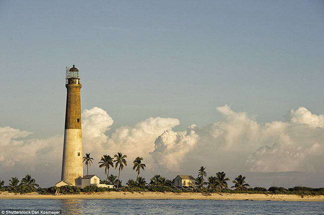 Hải đăng Cape Recife ở Nam Phi được xây dựng trên một tảng đá rất cao hơn 24 mét so với mực nước biển, tàu thuyền có thể nhìn thấy nó ở cực ly rất xa.